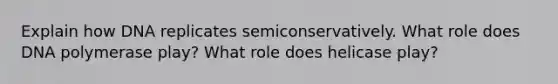 Explain how DNA replicates semiconservatively. What role does DNA polymerase play? What role does helicase play?