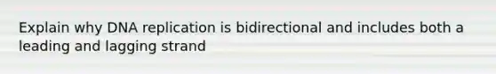 Explain why <a href='https://www.questionai.com/knowledge/kofV2VQU2J-dna-replication' class='anchor-knowledge'>dna replication</a> is bidirectional and includes both a leading and lagging strand