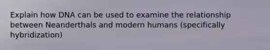 Explain how DNA can be used to examine the relationship between Neanderthals and modern humans (specifically hybridization)