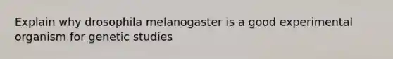 Explain why drosophila melanogaster is a good experimental organism for genetic studies