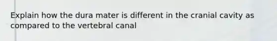 Explain how the dura mater is different in the cranial cavity as compared to the vertebral canal