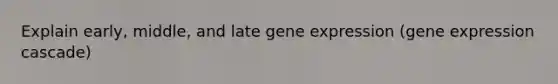 Explain early, middle, and late <a href='https://www.questionai.com/knowledge/kFtiqWOIJT-gene-expression' class='anchor-knowledge'>gene expression</a> (gene expression cascade)