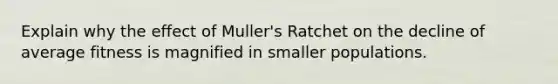 Explain why the effect of Muller's Ratchet on the decline of average fitness is magnified in smaller populations.