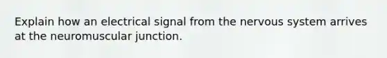 Explain how an electrical signal from the nervous system arrives at the neuromuscular junction.