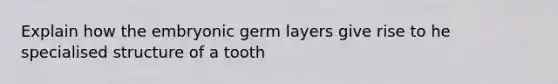 Explain how the embryonic germ layers give rise to he specialised structure of a tooth