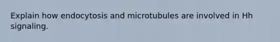 Explain how endocytosis and microtubules are involved in Hh signaling.