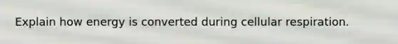 Explain how energy is converted during cellular respiration.