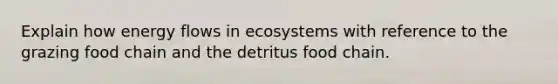 Explain how <a href='https://www.questionai.com/knowledge/kwLSHuYdqg-energy-flow' class='anchor-knowledge'>energy flow</a>s in ecosystems with reference to the grazing food chain and the detritus food chain.