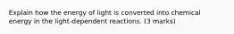 Explain how the energy of light is converted into chemical energy in the light-dependent reactions. (3 marks)