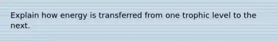 Explain how energy is transferred from one <a href='https://www.questionai.com/knowledge/k3OtRh2eOm-trophic-level' class='anchor-knowledge'>trophic level</a> to the next.