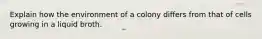 Explain how the environment of a colony differs from that of cells growing in a liquid broth.