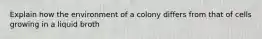 Explain how the environment of a colony differs from that of cells growing in a liquid broth