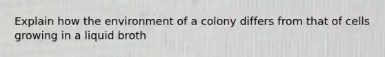 Explain how the environment of a colony differs from that of cells growing in a liquid broth