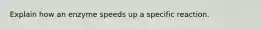 Explain how an enzyme speeds up a specific reaction.