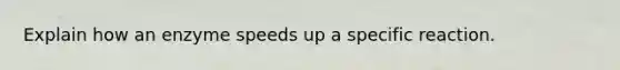 Explain how an enzyme speeds up a specific reaction.