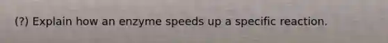 (?) Explain how an enzyme speeds up a specific reaction.