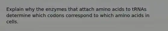 Explain why the enzymes that attach amino acids to tRNAs determine which codons correspond to which amino acids in cells.