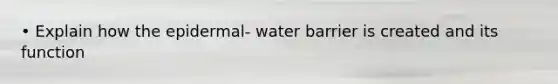 • Explain how the epidermal- water barrier is created and its function