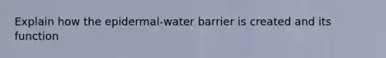 Explain how the epidermal-water barrier is created and its function