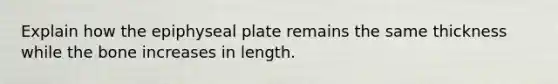 Explain how the epiphyseal plate remains the same thickness while the bone increases in length.