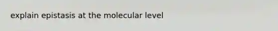 explain epistasis at the molecular level