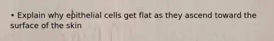 • Explain why epithelial cells get flat as they ascend toward the surface of the skin