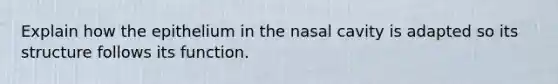 Explain how the epithelium in the nasal cavity is adapted so its structure follows its function.