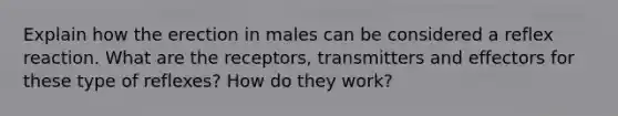 Explain how the erection in males can be considered a reflex reaction. What are the receptors, transmitters and effectors for these type of reflexes? How do they work?