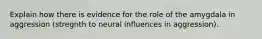 Explain how there is evidence for the role of the amygdala in aggression (stregnth to neural influences in aggression).