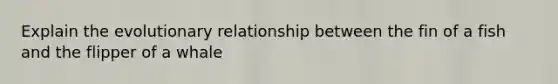 Explain the evolutionary relationship between the fin of a fish and the flipper of a whale