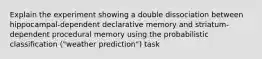 Explain the experiment showing a double dissociation between hippocampal-dependent declarative memory and striatum-dependent procedural memory using the probabilistic classification ("weather prediction") task