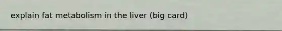 explain fat metabolism in the liver (big card)