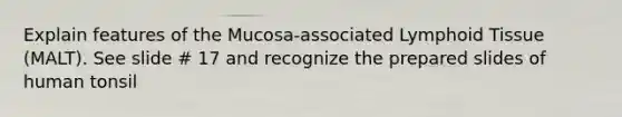 Explain features of the Mucosa-associated Lymphoid Tissue (MALT). See slide # 17 and recognize the prepared slides of human tonsil