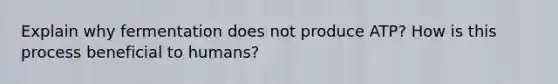 Explain why fermentation does not produce ATP? How is this process beneficial to humans?