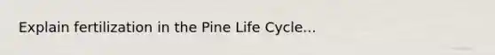 Explain fertilization in the Pine Life Cycle...