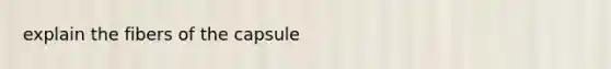 explain the fibers of the capsule