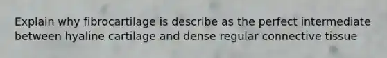 Explain why fibrocartilage is describe as the perfect intermediate between hyaline cartilage and dense regular connective tissue