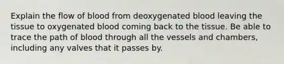 Explain the flow of blood from deoxygenated blood leaving the tissue to oxygenated blood coming back to the tissue. Be able to trace the path of blood through all the vessels and chambers, including any valves that it passes by.