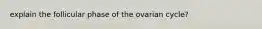 explain the follicular phase of the ovarian cycle?