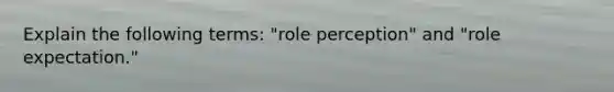 Explain the following terms: "role perception" and "role expectation."