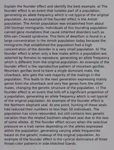 Explain the founder effect and identify the best example. a) The founder effect is an event that isolates part of a population, generating an allele frequency which is not typical of the original population. An example of the founder effect is the Amish population. The Amish population was established from about 200 German immigrants. Individuals of this founding population carried gene mutations that cause inherited disorders such as Ellis-van Creveld syndrome. This form of dwarfism is found in a large concentration in the Amish population today because the immigrants that established the population had a high concentration of the disorder in a very small population. b) The founder effect is when only a few males within a population are selected by females to reproduce, generating an allele frequency which is different from the original population. An example of the founder effect is the reproductive pattern of mountain gorillas. Mountain gorillas tend to have a single dominant male, the silverback, who gets the vast majority of the matings in the population. This leads to the next generation expressing mainly genes from the silverback and very few genes from the other males, changing the genetic structure of the population. c) The founder effect is an event that kills off a significant proportion of a population, generating an allele frequency which is not typical of the original population. An example of the founder effect is the Northern elephant seal. At one point, hunting of these seals had reduced their numbers to less than 50 individuals. The population has since rebounded, but still contains less genetic variation than the related Southern elephant seal due to the loss of some alleles. d) The founder effect occurs when the selective pressure on a trait varies depending on the alleles expressed within the population, generating varying allele frequencies based on the genetic makeup of the original population. An example of the founder effect is the cyclical dominance of three throat-color patterns in side-blotched lizards.