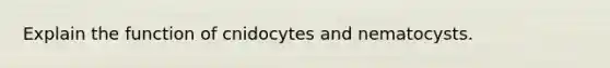 Explain the function of cnidocytes and nematocysts.