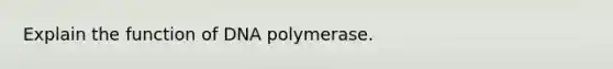 Explain the function of DNA polymerase.