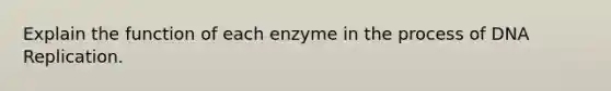 Explain the function of each enzyme in the process of DNA Replication.