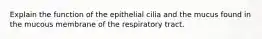 Explain the function of the epithelial cilia and the mucus found in the mucous membrane of the respiratory tract.