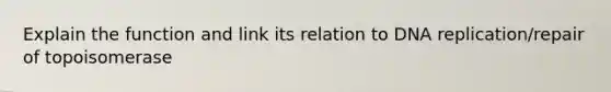 Explain the function and link its relation to DNA replication/repair of topoisomerase
