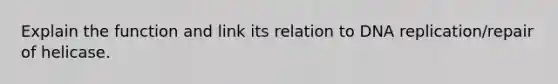 Explain the function and link its relation to DNA replication/repair of helicase.