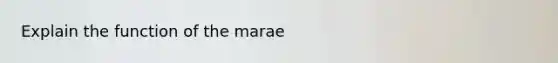 Explain the function of the marae