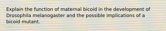 Explain the function of maternal bicoid in the development of Drosophila melanogaster and the possible implications of a bicoid mutant.