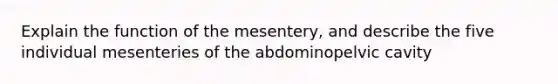 Explain the function of the mesentery, and describe the five individual mesenteries of the abdominopelvic cavity